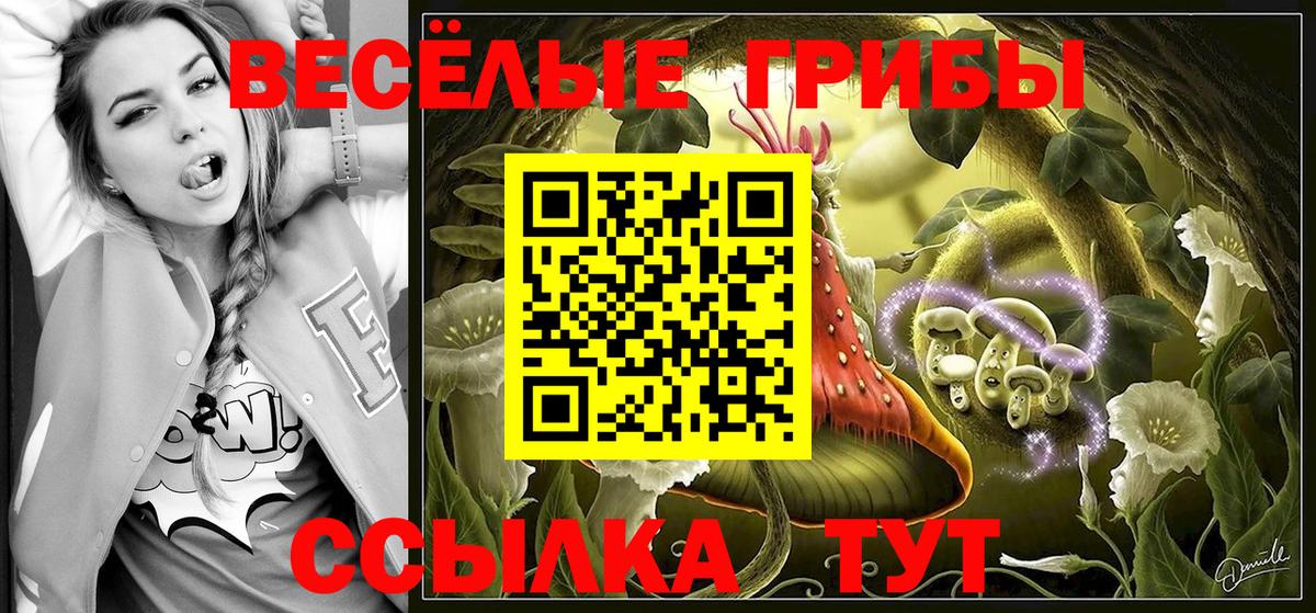 Галлюциногенные грибы мицелий Топки