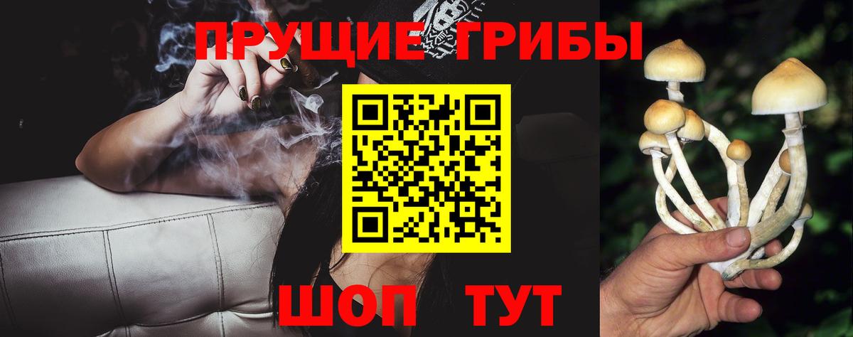 Псилоцибиновые грибы мицелий  Вход с VPN  Топки 